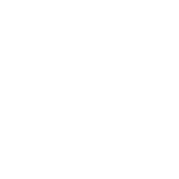 injection icon